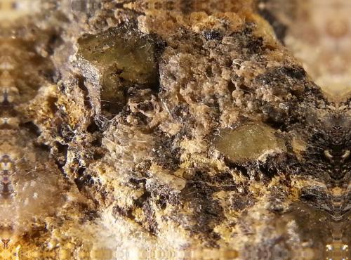 Granate
Minas de Can Montsant. Hortsavinyà. Tordera.Maresme.Barcelona.Cataluña.España.
El cristal hace 2 x 2 mm (Autor: Javier Rodriguez)