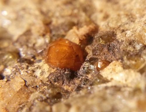 Granate
Minas de Can Montsant. Hortsavinyà. Tordera. Maresme. Barcelona. Cataluña. España.
El cristal hace 2 x 2 mm
misma pieza otra vista (Autor: Javier Rodriguez)