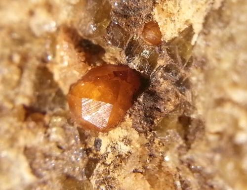 Granate
Minas de Can Montsant. Hortsavinyà. Tordera. Maresme. Barcelona. Cataluña. España.
El cristal hace 2 x 2 mm (Autor: Javier Rodriguez)