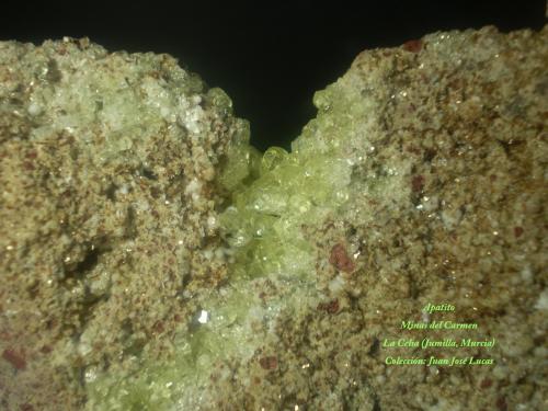 Fluorapatito
Mina Nuestra Señora del Carmen, La Celia, Jumilla, Murcia, España
Campo de visión 2’7 x 3’1 cm.; cristales entre 1 y 2 mm (Autor: juanjodpc)