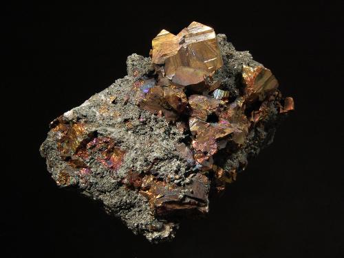 Chalcopyrite
Stari Trg Mine, Trepca Complex, Kosovska-Mitrovica, Kosovo
5.5 x 7.5 cm
Brassy-yellow chalcopyrite crystals with an iridescent tarnish on a sulfide rich matrix. (Author: crosstimber)