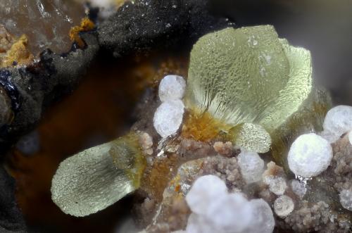 Smithsonita.
Chessy copper mines, Chessy-les-Mines, Le Bois d’Oingt, Rhône, Rhône-Alpes, Francia.
Campo de visión 2 mm. (Autor: Juan Miguel)