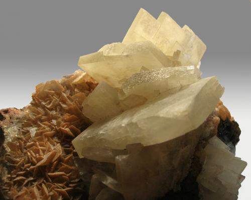 Baryte
Blaengwynlais Quarry, Cardiff, South Wales, UK
Baryte crystals to 35mm (Author: ian jones)