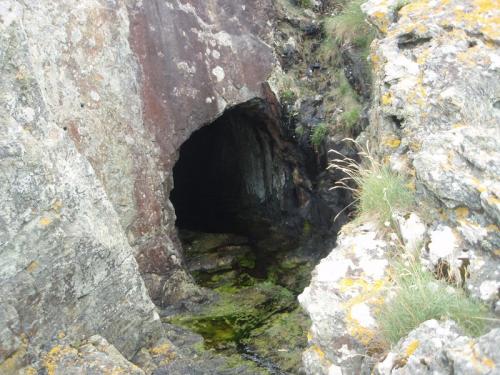 Pant-y Gaseg adit, driven c1860. The adit crops out half way down a cliff and is very well hidden. Photo taken 8 July 2009. (Author: ian jones)