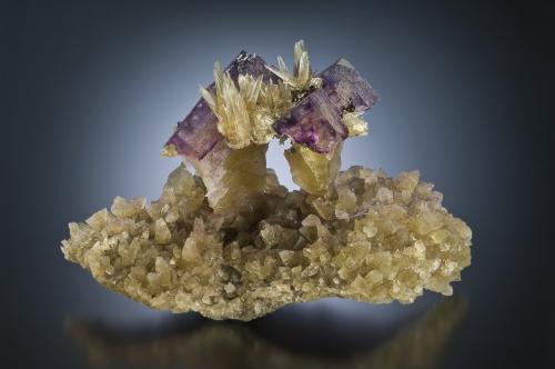 Fluorite
Minerva No. 1 Mine, Ozark-Mahoning Group, Cave-in-Rock Sub-District, Illinois - Kentucky Fluorspar District, Hardin Co., Illinois, USA
About 10cm long
Fluorite Toadstools
Jeff Scovil photo (Author: laayla21506)