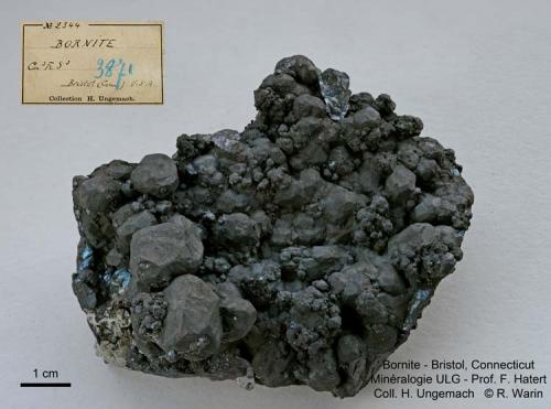 Bornite
Bristol, Connecticut USA
8 cm (Author: Roger Warin)