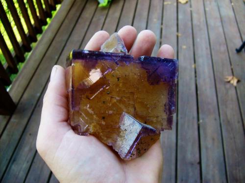 Fluorite
Minerva No. 1 Mine, Ozark-Mahoning Group, Cave-in-Rock Sub-District, Illinois - Kentucky Fluorspar District, Hardin Co., Illinois, USA
9 cm (Author: laayla21506)