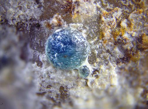 Calcosiderita.
Sierra de Casas Viejas, Castrocalbón, León, Castilla y León, España.
Campo de visión de 3 mm. (Autor: Antonio Carmona)