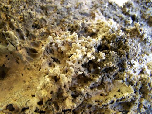 basalto<br />Road cut outcrop, Fuencaliente de La Palma, La Palma, Santa Cruz de Tenerife Province, Canary Islands, Spain<br />30 cm<br /> (Autor: canada)