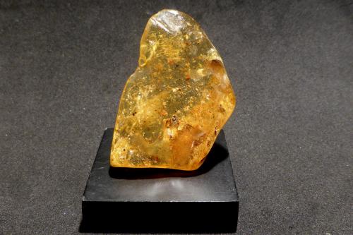 Copal
Madagascar
4,5x3 cm (Autor: Ander Ispizua Juan)