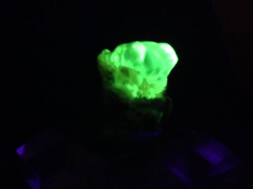 Opal
Unknown location in Mexico
1cm x .5cm x1cm
Opal (UV light) (Author: Mark Ost)