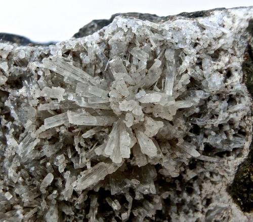 Aragonito
Volcanes de la Isleta, Gran Canaria, Islas Canarias, España.
Ancho de imagen 2,5 cm (Autor: María Jesús M.)