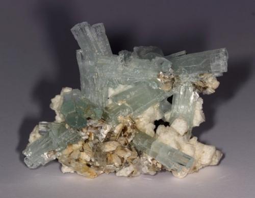 Beryl var. aquamarine and schorl.
Pakistan.
6 x 4h cm (Author: Alessio Cenfi)