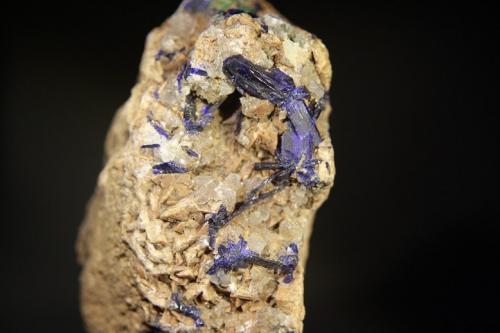 Azurita<br />Milagro Mine (Consuelo Mine), Valdelamesa, Mestas de Con, Onís-Cangas de Onís, Comarca de Oriente, Principality of Asturias (Asturias), Spain<br />Cristal de 2 cm.<br /> (Autor: minero1968)