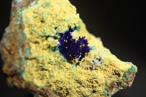 Azurita<br />Delfina Mine, Hoyos de Alda, Ortiguero, Prado, Cabrales, Comarca Oriente, Principality of Asturias (Asturias), Spain<br />Grupo de pequeños cristales de 1,5 cm.<br /> (Autor: minero1968)