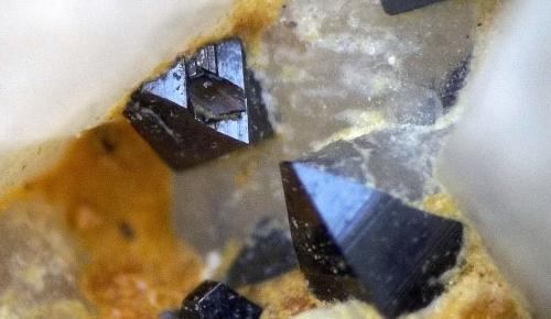 Anatasa
Sierrilla de Aguas Vivas, Cáceres capital, Extremadura, España
cristales entre 1 y 2 mm aproximadamente.
Puede observarse el curioso crecimiento de un cristal de brookita sobre una de las anatasas. (Autor: Cristalino)