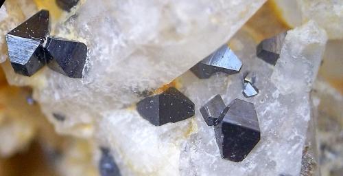 Anatasa
Sierrilla de Aguas Vivas, Cáceres capital, Extremadura, España
cristales entre 1 y 2 mm aproximadamente. (Autor: Cristalino)