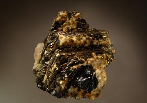 Pyrrhotite
Trepca complex, Kosovska Mitrovica, Kosovo
8.0 x 8.6 cm.
Thin hexagonal plates of brassy pyrrhotite with black sphalerite, colorless quartz and cubic pyrite crystals. (Author: crosstimber)