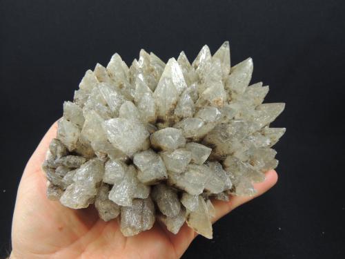 Calcita
Cadereyta de Montes, Querétaro, México
15.5 x 12.4 x 7 cm
Calcita diente de perro color gris (Autor: Ricardo Melendez)