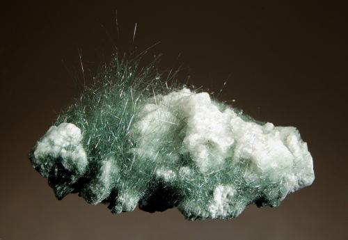 Actinolite var. Byssolite
Knappenwand, Untersulzbach Valley, Hohe Tauern, Salzburg, Austria
4.0 x 6.2 cm
Delicate needles of dark green byssolite scattered amongst white albite crystals. (Author: crosstimber)