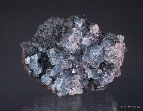 Fluorite, Specularite, Hematite, Quartz
Florence mine, Egremont, Cumbria, England
8cm x 6cm x 2cm (Author: Philip Mostmans)