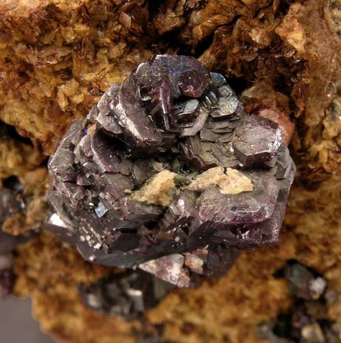 Pyrargyrite on Siderite
Annaberg District, Erzgebirge, Saxony, Germany
Group of Pyrargyrite crystals: 1.4 × 1.1 cm
Former collection of Folch duplicates
Photo: Reference Specimens (Author: Jordi Fabre)