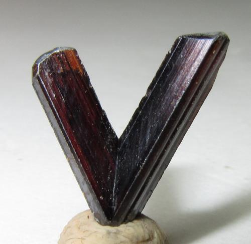 Rutilo
Diamantina, Minas Gerais, Brasil
10 x 11 nn. (cristales de 11 y 13 mm. de longitud)
Un rutilo con macla en V, es decir, según {301}.  Ver http://www.foro-minerales.com/forum/viewtopic.php?p=90551#90551 . (Autor: prcantos)