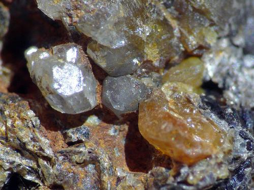 Fenaquita
A Franqueira, A Cañiza, Pontevedra, Galicia, España
encuadre de la foto 6mm
Pequeña oquedad con cristales de fenaquita (Autor: Javier MC)