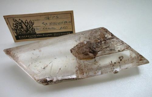 Gypsum
Neuenhain coal mine, Borken, Kassel, Hesse, Germany
12 x 5 cm
 (Author: Andreas Gerstenberg)