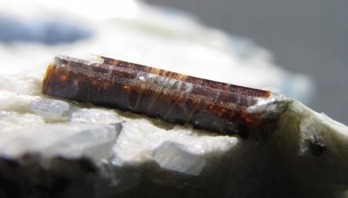 Estaurolita
Alpe Sponda - Pizzo Forno, Val Chironico, Leventina, Ticino (Tessin), Suiza
Cristal de 1 cm. de longitud
Detalle del cristal de estaurolita en la misma pieza. (Autor: prcantos)