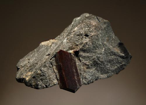 Lorenzenite
Selsurt Mt., Lovozero Massif, Kola Peninsula, Murmanskaya Oblast, Russia
4.7 x 7.9 cm
Brown lorenzenite crystal in matrix with minor black aegirine. (Author: crosstimber)