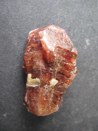 Zircón
Chilas, Diamar District, Gilgit-Baltistan, Pakistán
3’5 x 1’5 x 1 cm.
Otro perfil del mismo cristal. (Autor: prcantos)