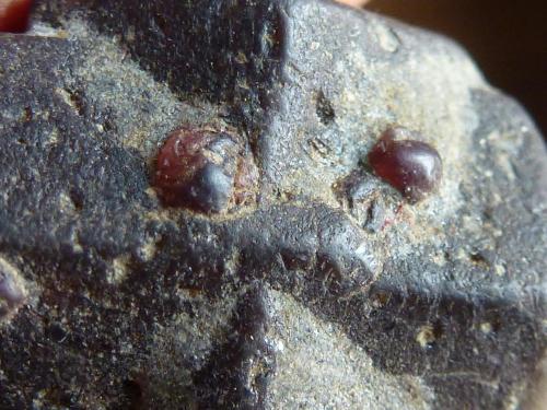 Estaurolita, Mica, Granate (Almandino)
Cañón Hondo, Taos, Nuevo Mexico, USA
1,5 x 1 cm.

Detalle (Autor: javier ruiz martin)