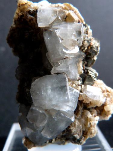 Fluorapatito, siderita y pirita
Mina Panasqueira, Panasqueira, Covilha, Castelo Branco, Portugal
3,5 x 2 x 1,5
Apatito azul, siderita y pirita (Autor: Felipe Abolafia)