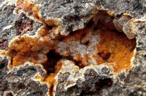 Analcima y Calcita.
Puerto de Agaete, Gran Canaria, Islas Canarias, España.
Ancho de imagen 3 cm.
Analcimas cubiertas por óxidos de hierro, los cristales de calcita (blanca y muy fluorescente) se encuentran en el extremo superior derecho.
En esta foto la zona central carece de recubrimiento de óxidos, lo que nos permite afirmar que el recubrimiento de óxidos de hierro sólo es superficial. (Autor: María Jesús M.)