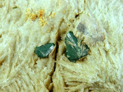 Microlite
Fisher Quarry, Topsham, Sagadahoc Co., Maine, USA
Largest crystal 1.5 cm (Author: Clifford Trebilcock)