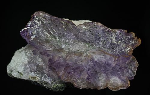 Quartz (var amethyst)
Karur District, Tamil Nadu, India
12.2 x 9.0 cm. 
Side View (Author: am mizunaka)