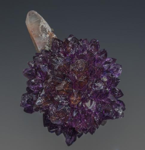 Quartz (var amethyst)
Karur District, Tamil Nadu, India
4.6 x 3.8 cm (Author: am mizunaka)