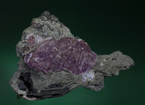 Quartz (var amethyst)
Karur District, Tamil Nadu, India
12.8 cm x 10.8 cm x 2.8 cm (Author: am mizunaka)