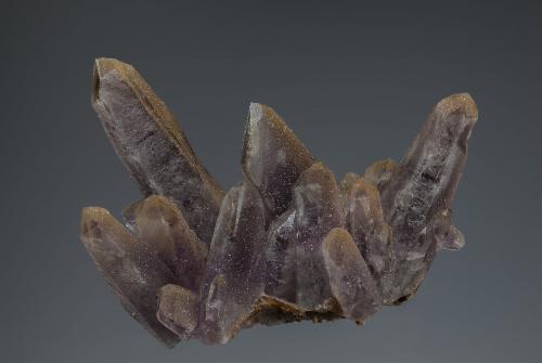 Quartz (var amethyst)
Guerrero, Mexico
7.9 x 6.9 cm (Author: am mizunaka)