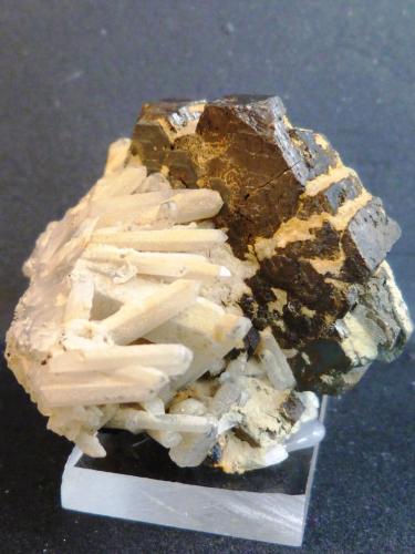 Pirrotina y cuarzo
Dalnegorsk, Primorskiy Kray, Rusia
6 x 5 cm.
Cristal de pirrotina: 4,5 x 1 x 4 cm. (Autor: Felipe Abolafia)