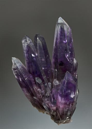 Quartz (var  amethyst)
Amatitlán Mine, Amatitlán, Mun. de Zumpango del Rio, Guerrero, Mexico
9.0 x 5.0 cm (Author: am mizunaka)