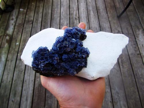 Fluorite, Barite
Minerva No. 1 Mine, Ozark-Mahoning Group, Cave-in-Rock Sub-District, Illinois - Kentucky Fluorspar District, Hardin Co., Illinois, USA
16 cm (Author: laayla21506)