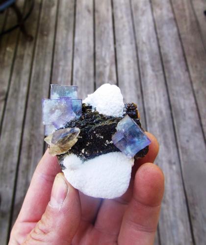 Fluorite, Barite, Calcite, Sphalerite
Minerva No. 1 Mine, Ozark-Mahoning Group, Cave-in-Rock Sub-District, Illinois - Kentucky Fluorspar District, Hardin Co., Illinois, USA
7.5cm (Author: laayla21506)