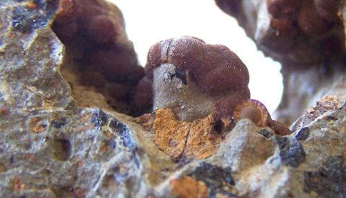 Goethita, siderita, limonita, carbonatos<br />De Las Angustias ravine, El Paso, La Palma, Santa Cruz de Tenerife Province, Canary Islands, Spain<br />8cm, medio centímetro el micro.<br /> (Autor: canada)