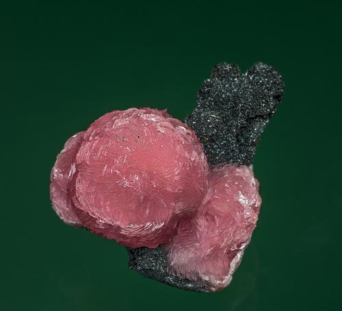 Rhodochrosite, Manganite
N’Chwaning I Mine, N’Chwaning Mines, Kuruman, Kalahari manganese field, Northern Cape Province, South Africa
2.4 x 2.8 cm (Author: am mizunaka)