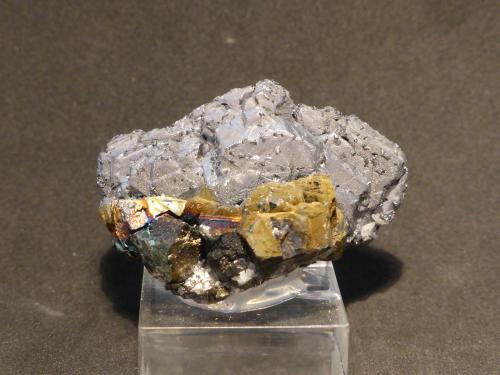 Galena
Mina Paloma, Provincia de Castrovirreyna, Huancavelica, Perú
4,5x3 cm (Autor: Ander Ispizua Juan)