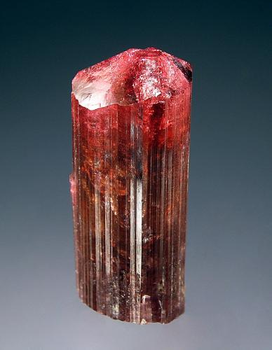 Elbaite
Danburitovaya pegmatite vein, Malkhan pegmatite field, Krasnyi Chikoy, Chitinskaya Oblast’, Transbaikalia, Eastern-Siberian Region, Russia
1.8 x 4.2 cm
Cranberry-red, elbaite crystal with internal orange highlights, striated prism faces, and pyramidal termination. (Author: crosstimber)