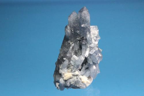 Quartz with Elbaite (variety indicolite) inclusions
Jenipapo pegmatite district, Itinga, Minas Gerais, Brazil
5.3 x 3.0 cm (Author: Don Lum)