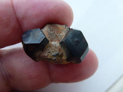 Pirita transformada en Hematites<br />De las Indias Range, La Alcoraya, Alicante/Alacant, Comarca Campo de Alicante, Alicante / Alacant, Valencian Community / Comunitat Valenciana, Spain<br />2,5 x 1,5 cm.<br /> (Autor: javier ruiz martin)